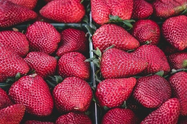 controllo qualità alimentare cosa fa